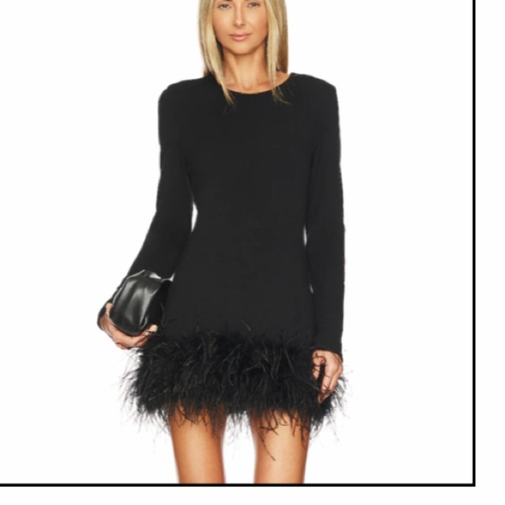 Lamarque Black Long Sleeve Dress with Feather Hem